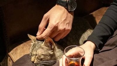لمدة ٦ سنين كاملة كنت بعزم مرات السواق على فنجان شاي وحلويات